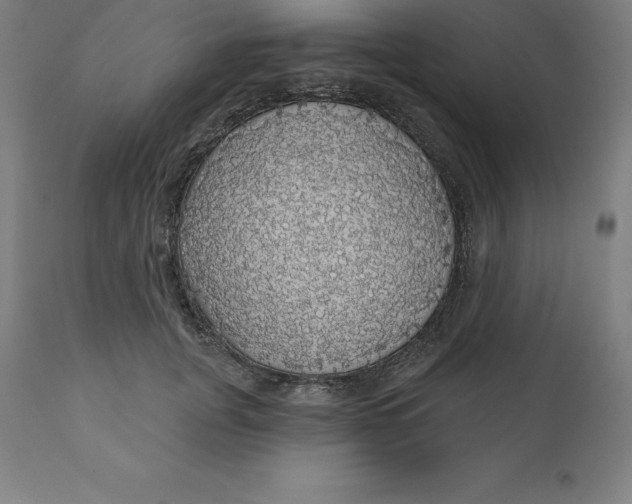 X0000110700751200907021957