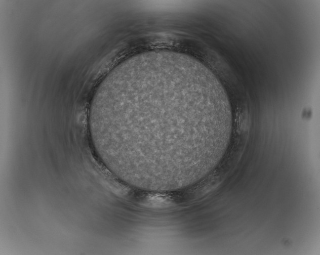 X0000110700753200907021957