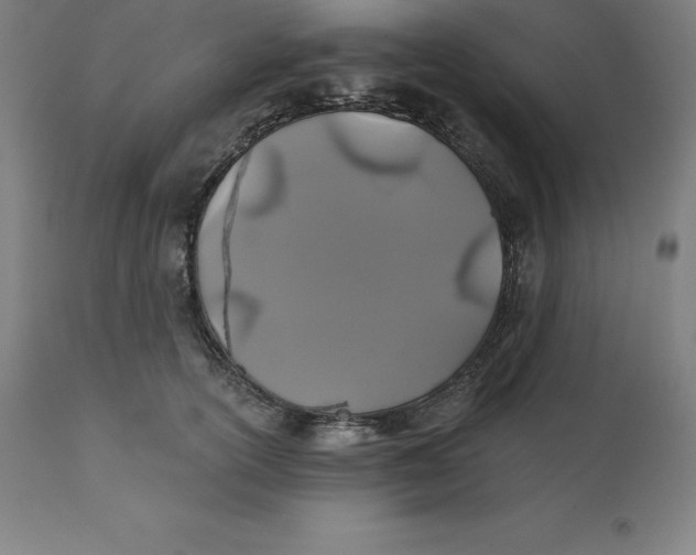 X0000110700754200907021957