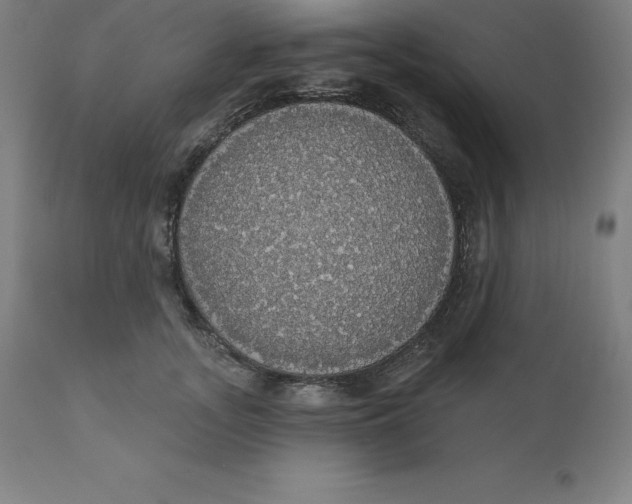 X0000110700755200907021957