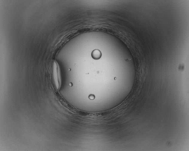 X0000110700756200907021957