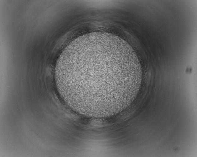 X0000110700757200907021957