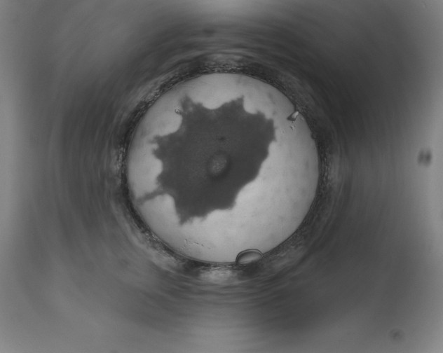 X0000110700759200907021957