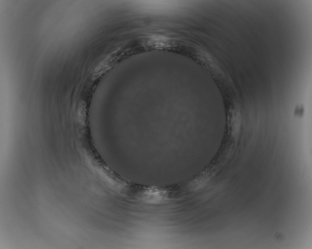 X0000110700760200907021957