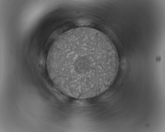 X0000110700763200907021957