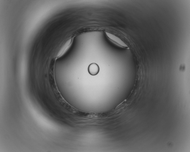 X0000110700764200907021957