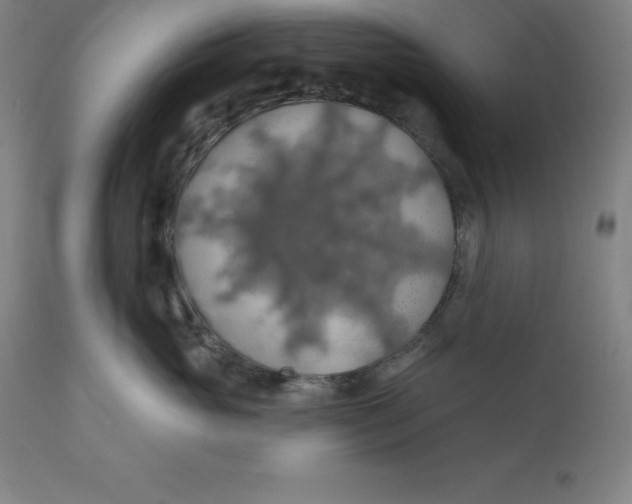 X0000110700765200907021957