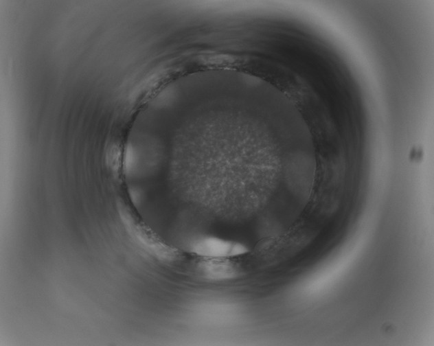 X0000110700767200907021957