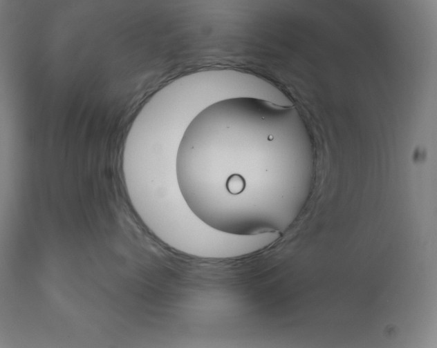 X0000110700768200907021957