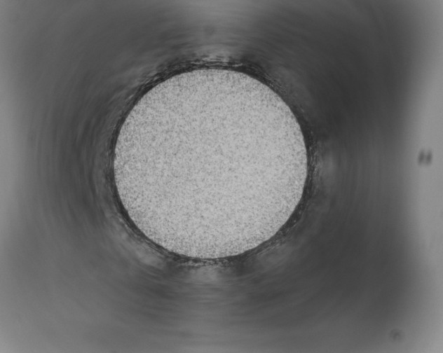 X0000110700769200907021957