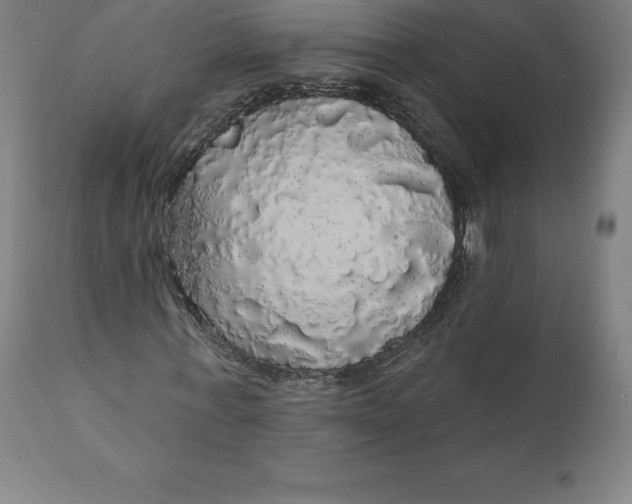 X0000110700771200907021957