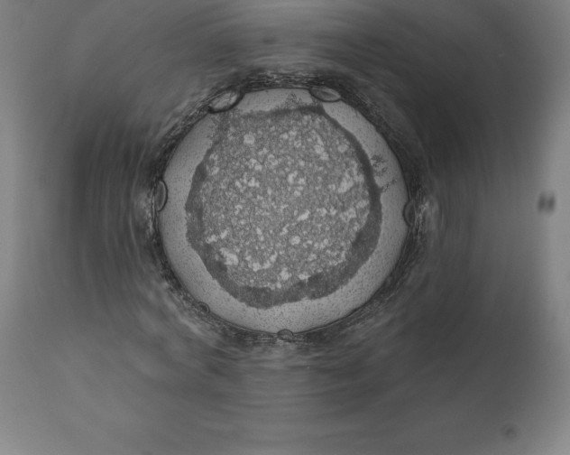 X0000110700772200907021957