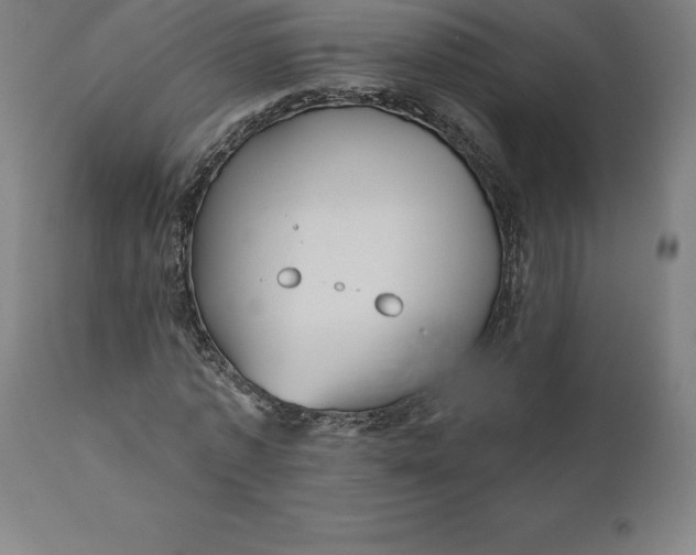 X0000110700773200907021957