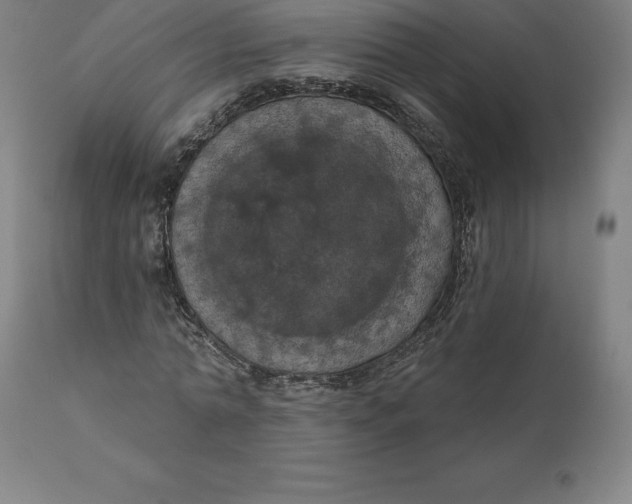 X0000110700774200907021957