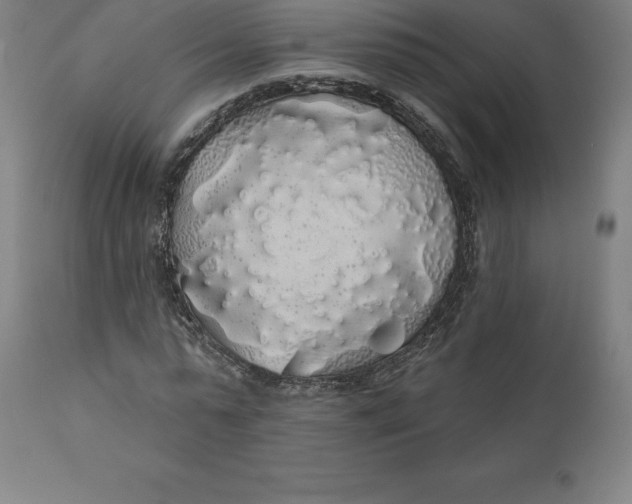 X0000110700775200907021957