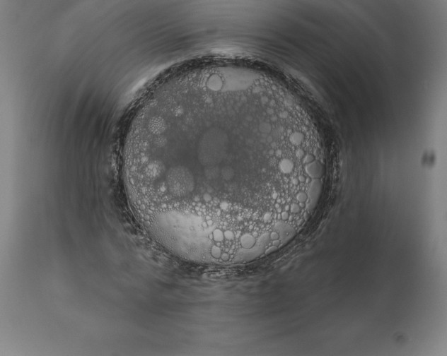 X0000110700776200907021957