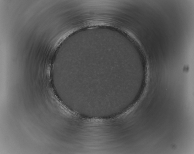 X0000110700777200907021957