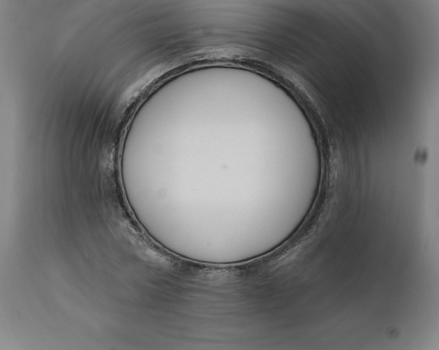 X0000110700778200907021957