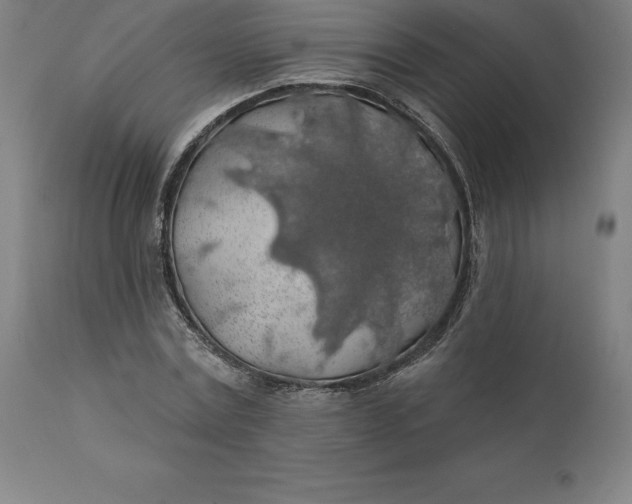 X0000110700779200907021957