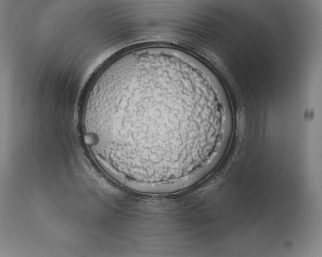 X0000110700780200907021957