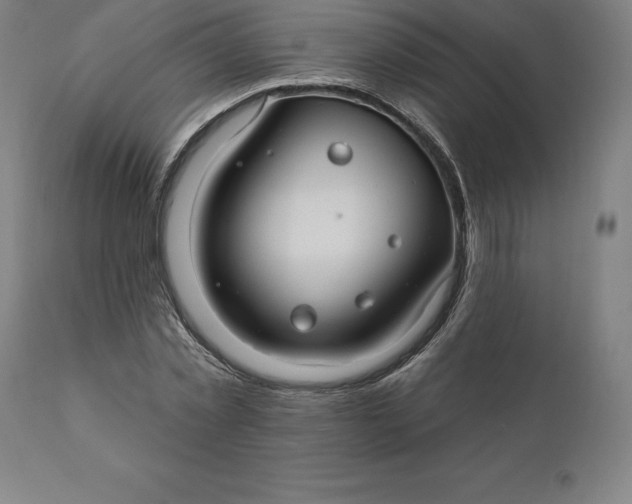 X0000110700781200907021957