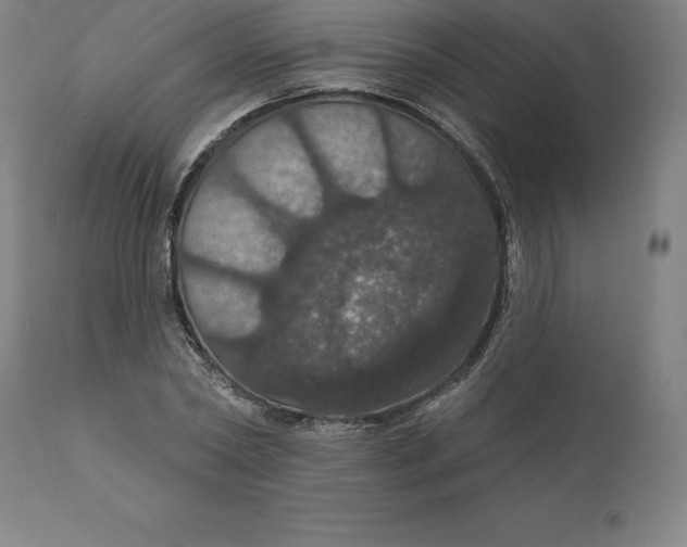 X0000110700782200907021957