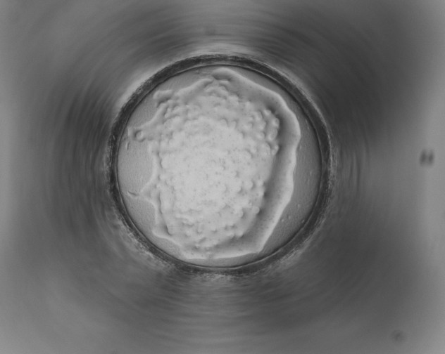 X0000110700783200907021957