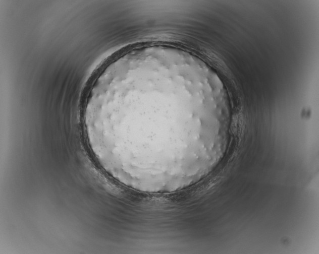 X0000110700784200907021957