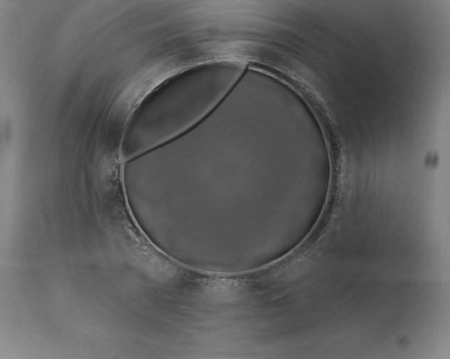 X0000110700785200907021956