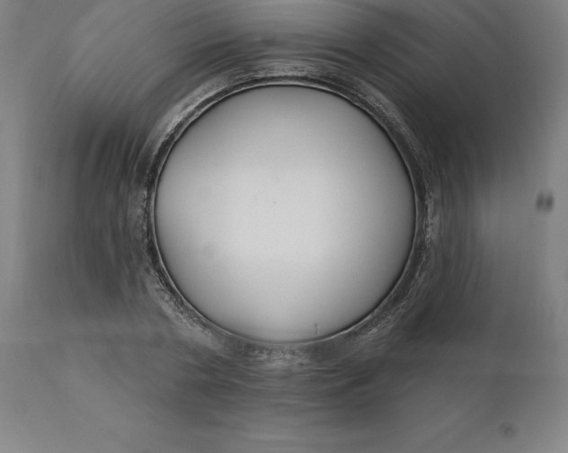 X0000110700786200907021956