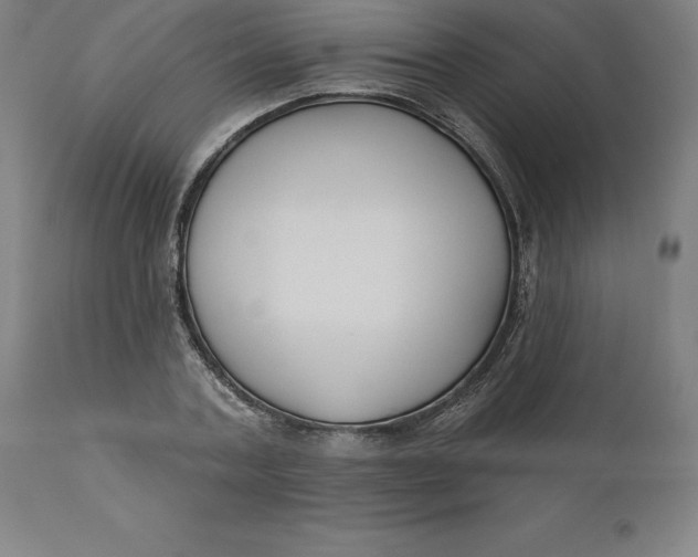 X0000110700787200907021956