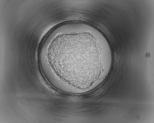 X0000110700788200907021956