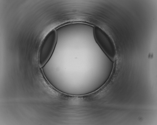 X0000110700789200907021956