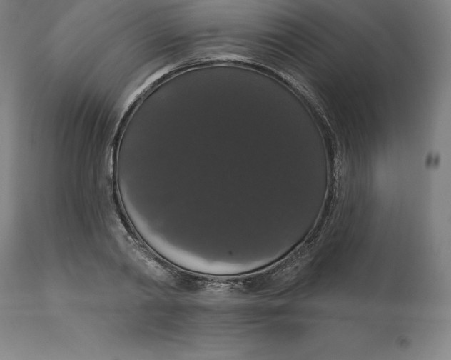 X0000110700790200907021956