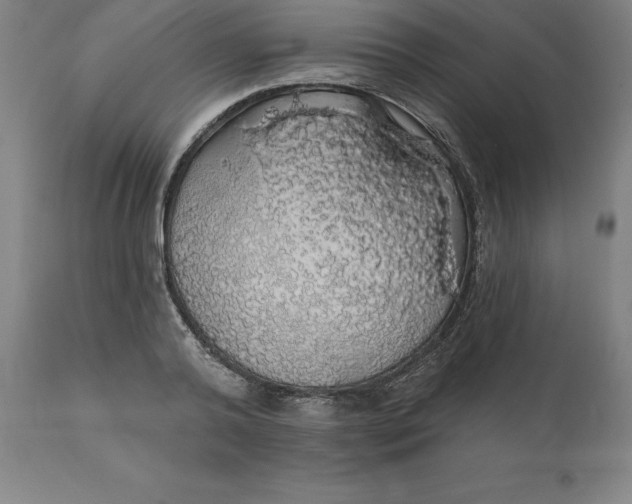 X0000110700792200907021956