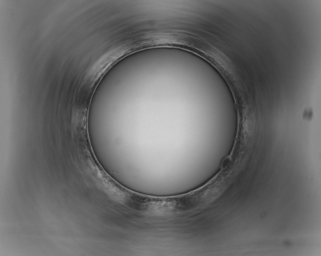 X0000110700793200907021956