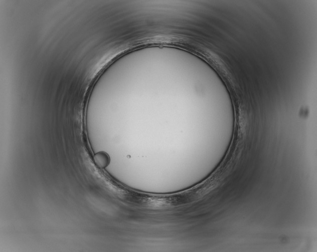 X0000110700794200907021956