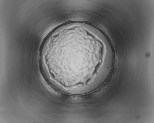 X0000110700795200907021956