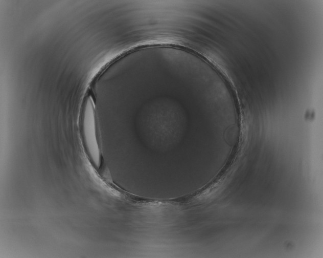 X0000110700797200907021956