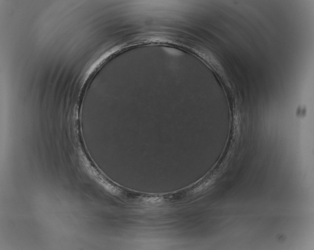 X0000110700798200907021956