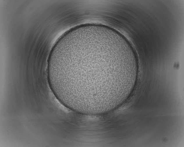 X0000110700799200907021956