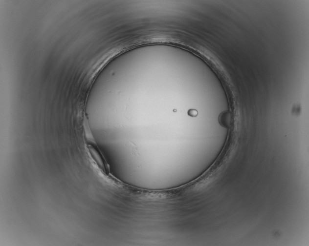 X0000110700801200907021956