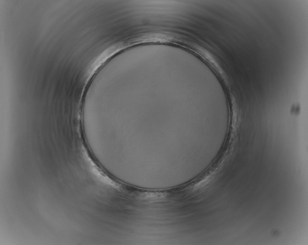 X0000110700802200907021956