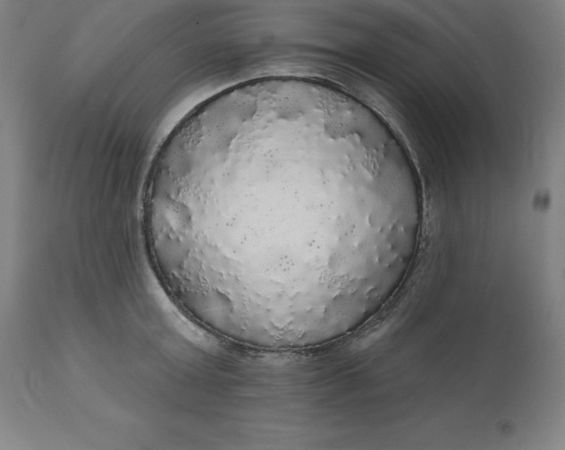 X0000110700803200907021956