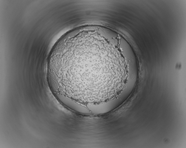 X0000110700804200907021956