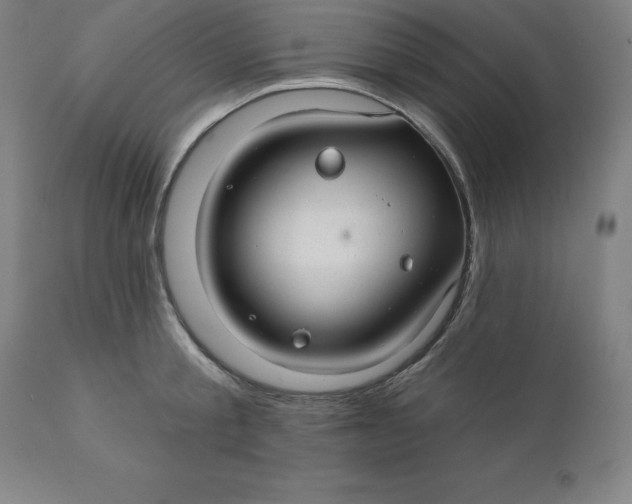 X0000110700805200907021956