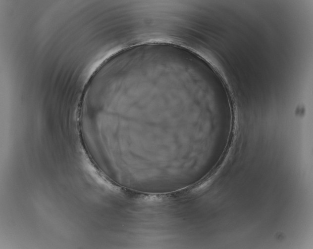 X0000110700806200907021956