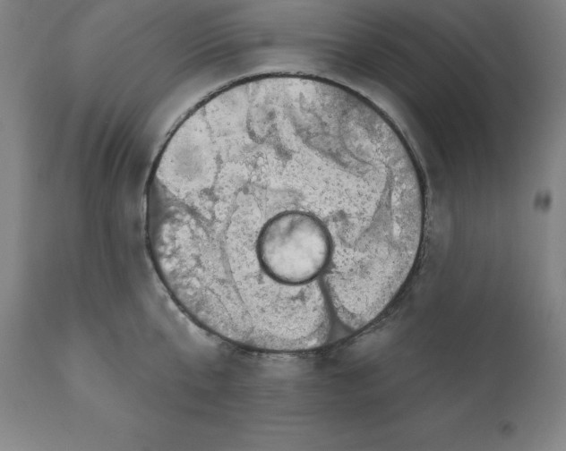 X0000110700807200907021956