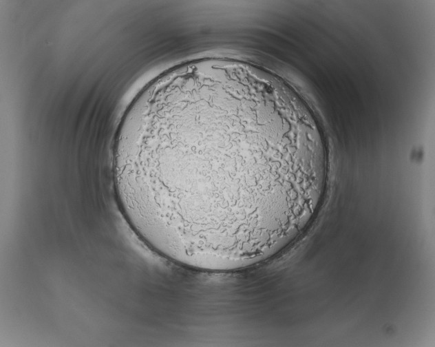 X0000110700808200907021956