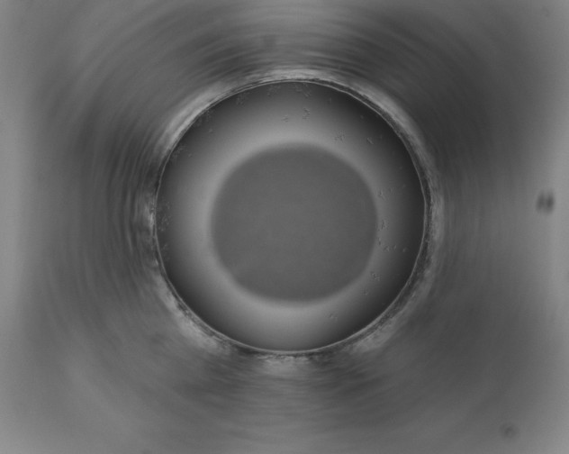 X0000110700809200907021956